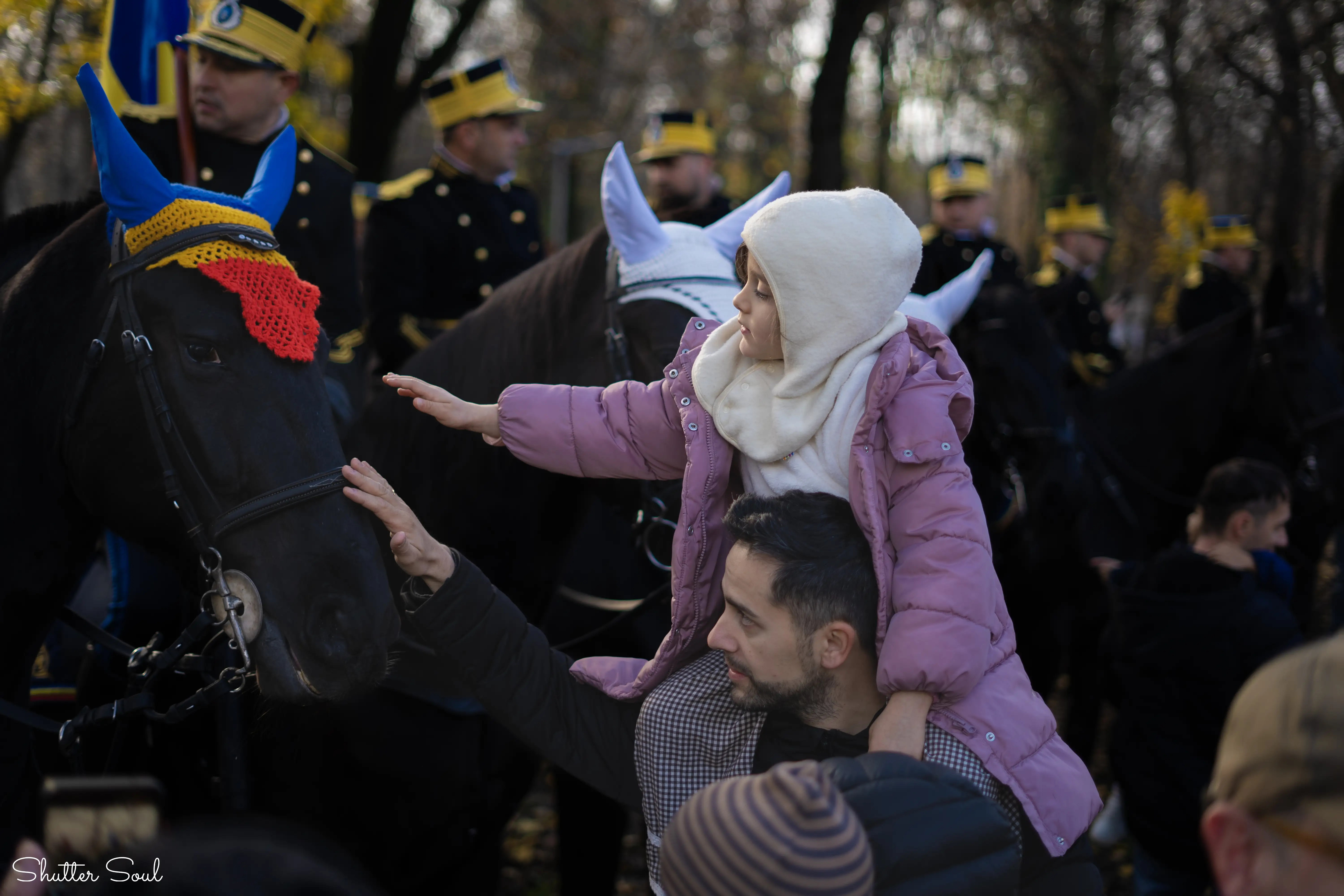 Curiosity meets tradition